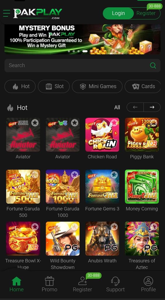 Pakplay game